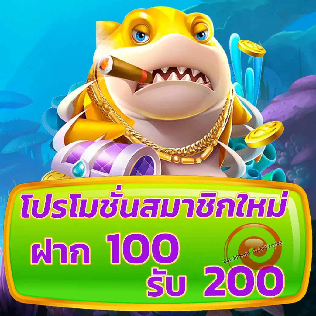 สล็อตgreybet14